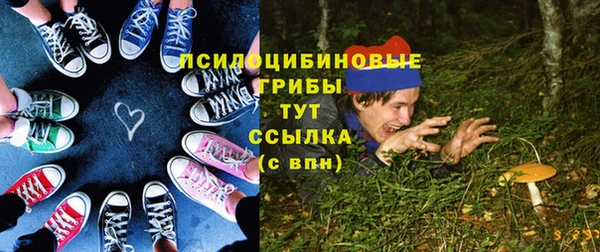 спиды Алексеевка