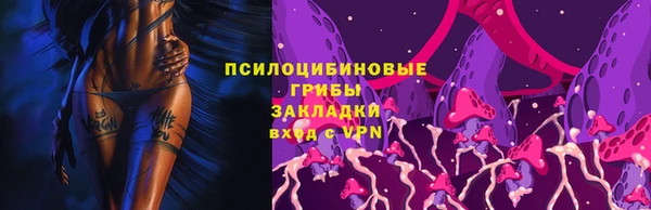 спиды Алексеевка