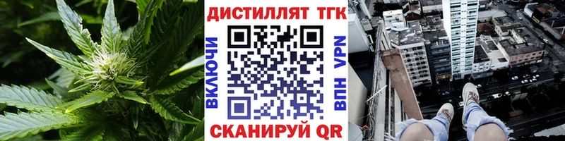 маркетплейс телеграм  Катав-Ивановск  ТГК вейп с тгк 